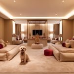 Creating a Palace at Home: Luxury Pet Spaces That Pamper Your Companion